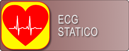 ECG STATICO